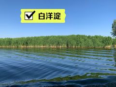 -白洋淀风景区