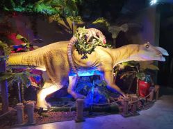 点击看大图 -恐龙探索乐园(磁器口店)