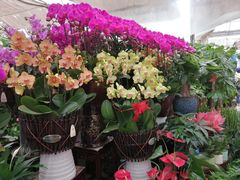 -秦美花卉(天朗·莱茵小城2期店)