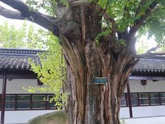 -苏州文庙(姑苏区)
