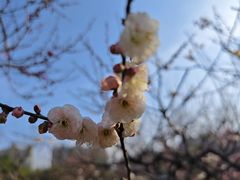 -徐盛兴手工点心(川沙店)