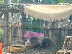 -大连森林动物园