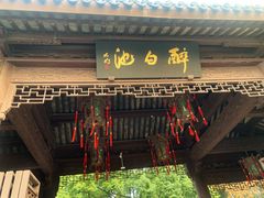-上海醉白池公园