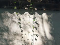 -宁波市保国寺古建筑博物馆