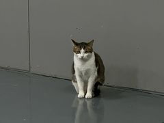 -蓝天射箭馆·专业射箭运动(诚丰广场店)