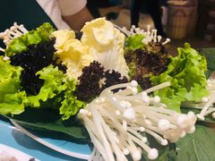 -青瓷火锅料理(西单大悦城店)