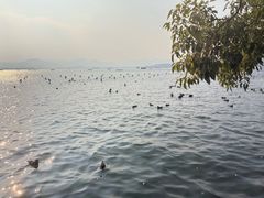 -杭州湖滨in77