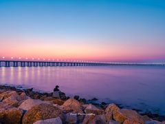 -宝安西湾红树林湿地公园