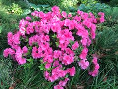 -杭州花家山庄