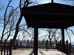 -紫金山山顶公园