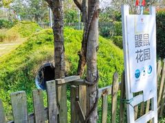 -前小桔亲子创意农场·草莓采摘·露营烧烤