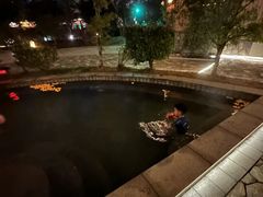 -宁波杭州湾海底温泉