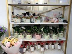 -花未央花店·WEYOUNG