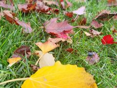 -唐城墙遗址公园