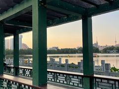 -莲花池公园