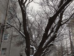 -山东师范大学(千佛山校区)
