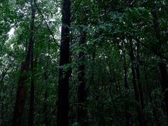 -同里国家湿地公园
