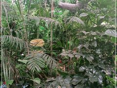 -滕头生态酒店(奉化店)
