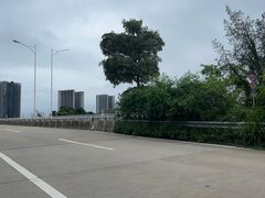 -广东惠东海龟国家级自然保护区