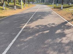 -白鹭湾湿地公园