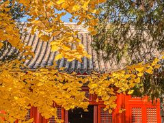 -承恩寺