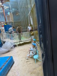 -PIPIKINGDOM皮皮王国欢乐号(欢乐海岸购物中心店)