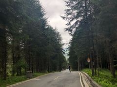 -硗碛藏寨·神木垒景区