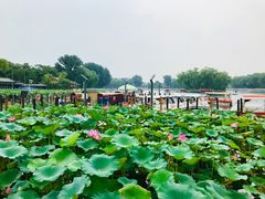 -同和居(什刹海店)