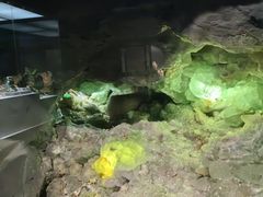 -湖南省地质博物馆