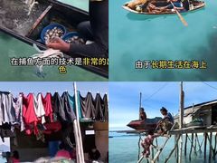 -邦邦岛