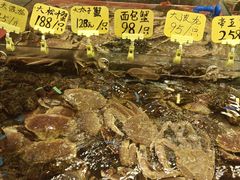 -厦门轮渡码头