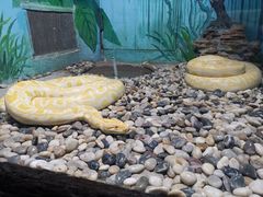 -石家庄市动物园