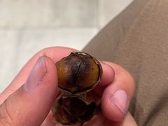 -阿男野栗王(金门路店)