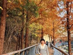 -白水寺森林公园