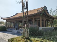 -张家湾公园