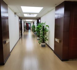 -维倪月子会所(独栋庭院·南海店)