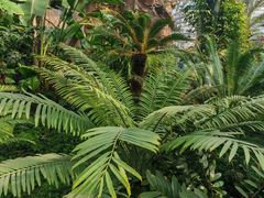 -北京植物园-展览温室