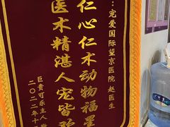 -宠爱国际动物医院·消化内科·心肾内科·ISFM猫友好(望京店)