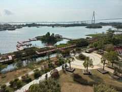 -芒洲湿地公园