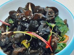 凉拌黑木耳-北海渔村酒楼·粤菜海鲜点心(新华店)