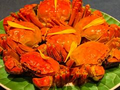 -老吉堂上海本帮菜(工体店)