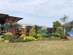 -上海长兴岛郊野公园