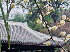 -成都杜甫草堂博物馆