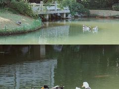 景观位-杭州西子湖四季酒店·金沙厅