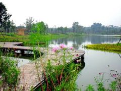 -白鹭湾湿地公园