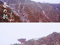 -少华山国家森林公园