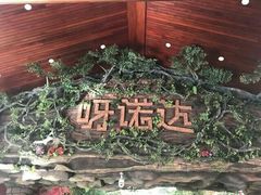 -呀诺达热带雨林