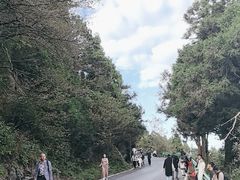 -南岳衡山风景名胜区