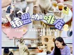 -猪盟咖啡店(玖洲道店)