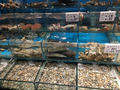 水产区-金太阳海鲜烧烤·本地人餐厅(东纬路旗舰店)